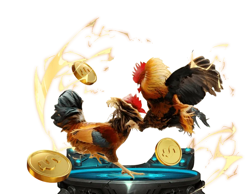 Cách chọn gà chiến mạnh